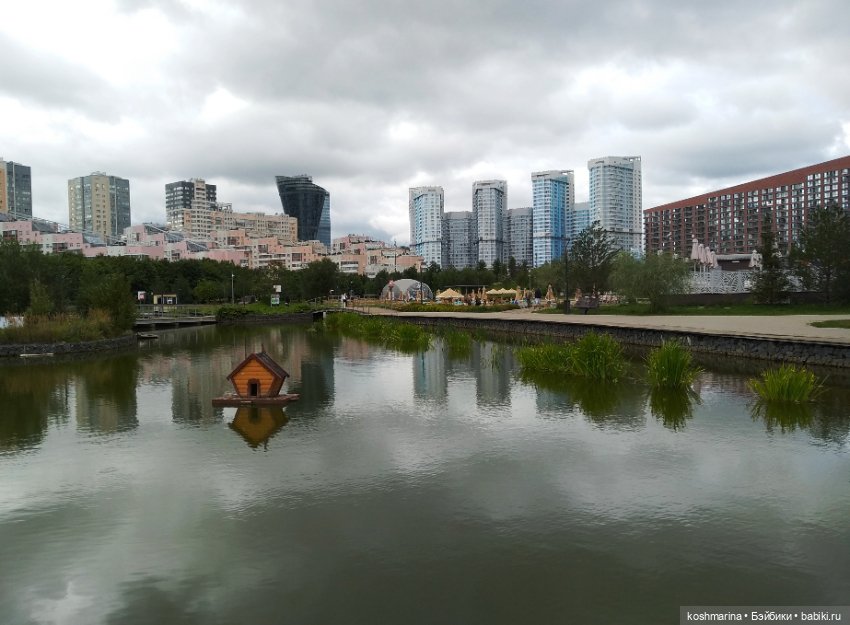 Авиапарк и черничная сова