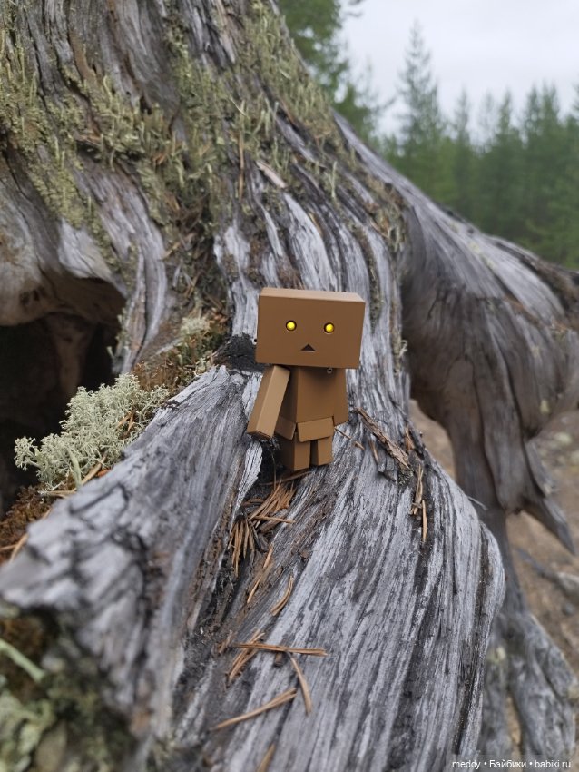 Моя любимая коробочка...Danbo