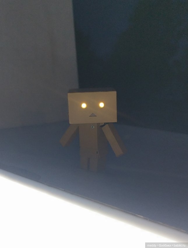 Моя любимая коробочка...Danbo (фото 3)