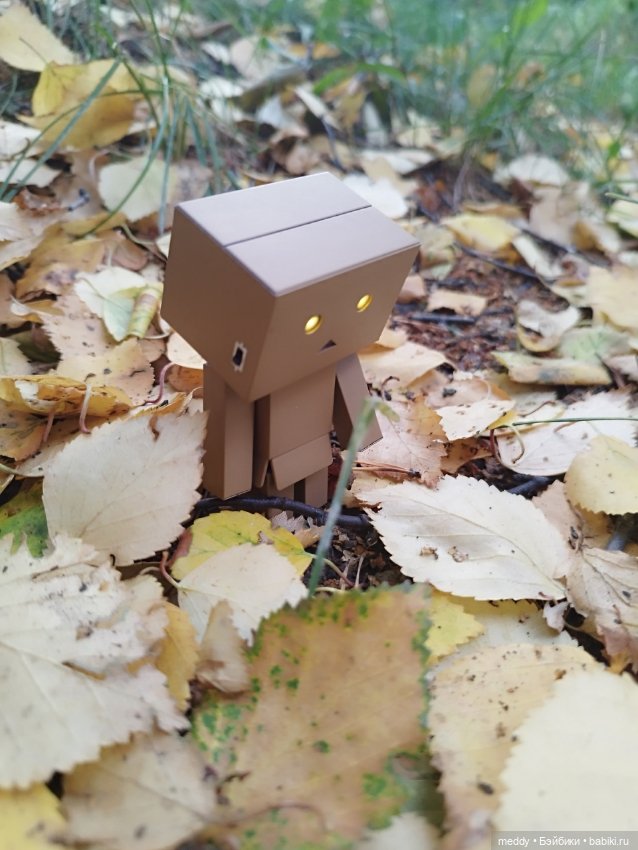 Моя любимая коробочка...Danbo