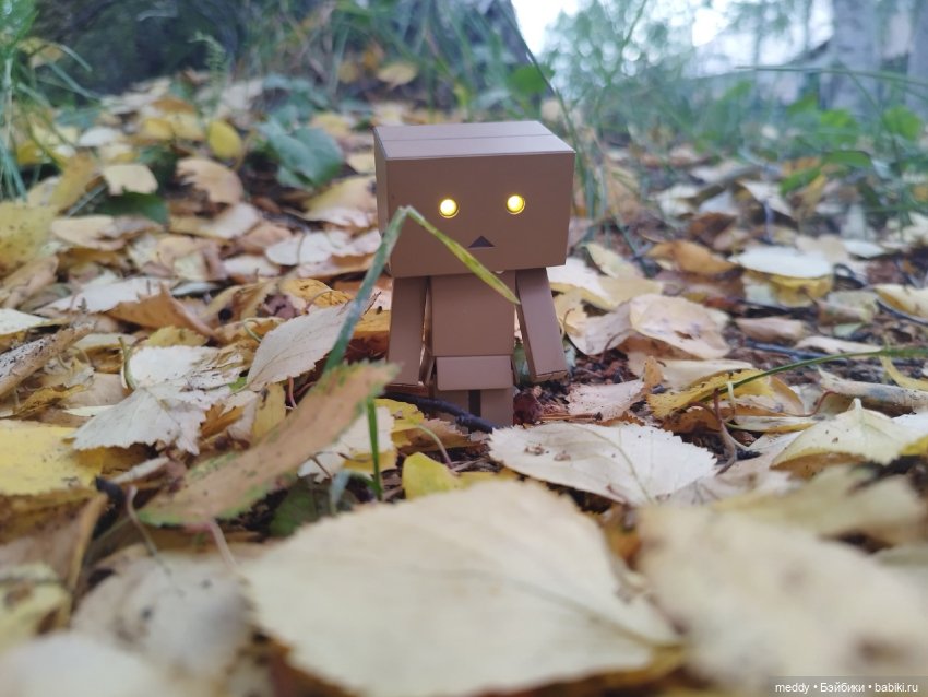 Моя любимая коробочка...Danbo