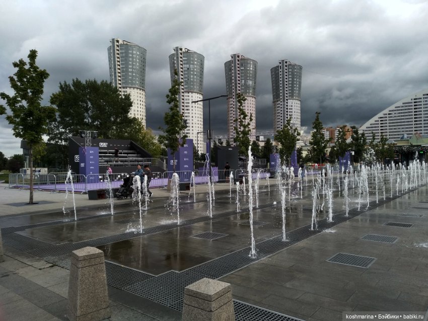 Авиапарк и черничная сова (фото 10)