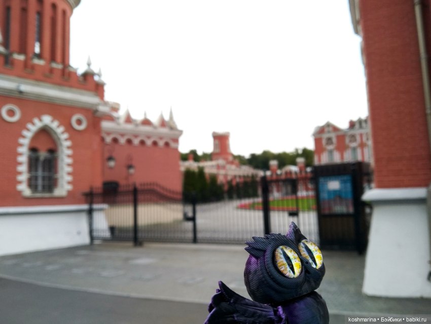 Авиапарк и черничная сова