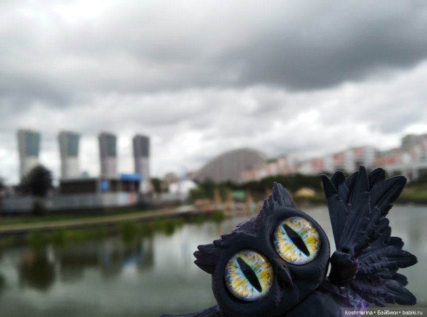 Авиапарк и черничная сова