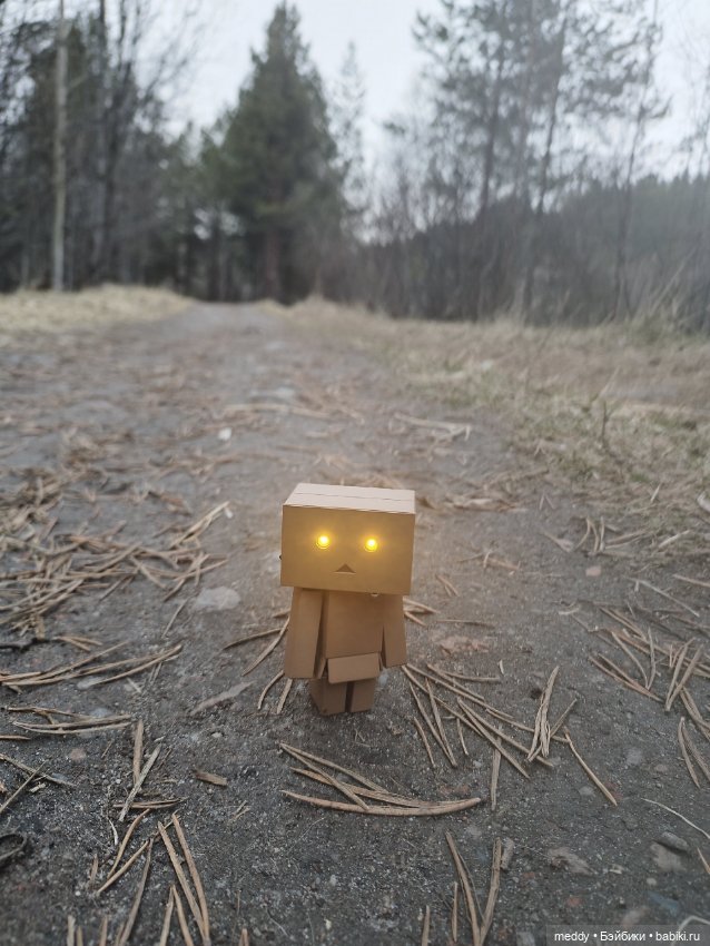 Моя любимая коробочка...Danbo