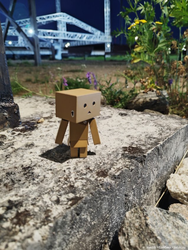 Моя любимая коробочка...Danbo (фото 4)