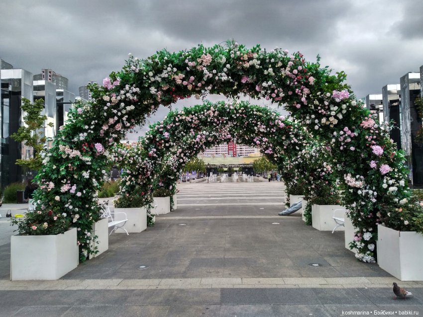 Авиапарк и черничная сова (фото 9)