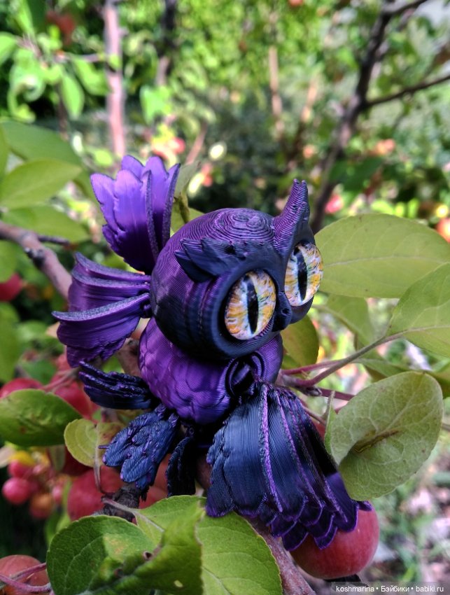 Авиапарк и черничная сова