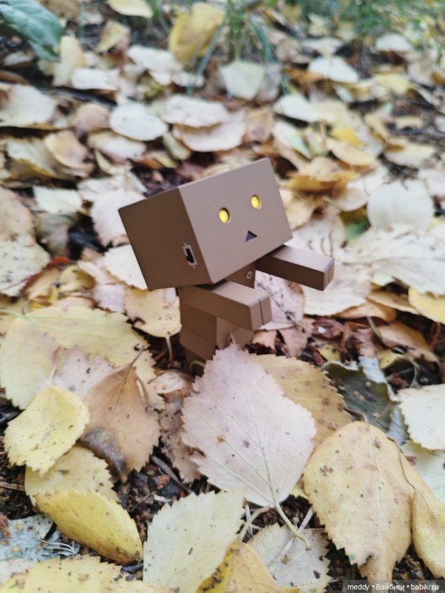 Моя любимая коробочка...Danbo