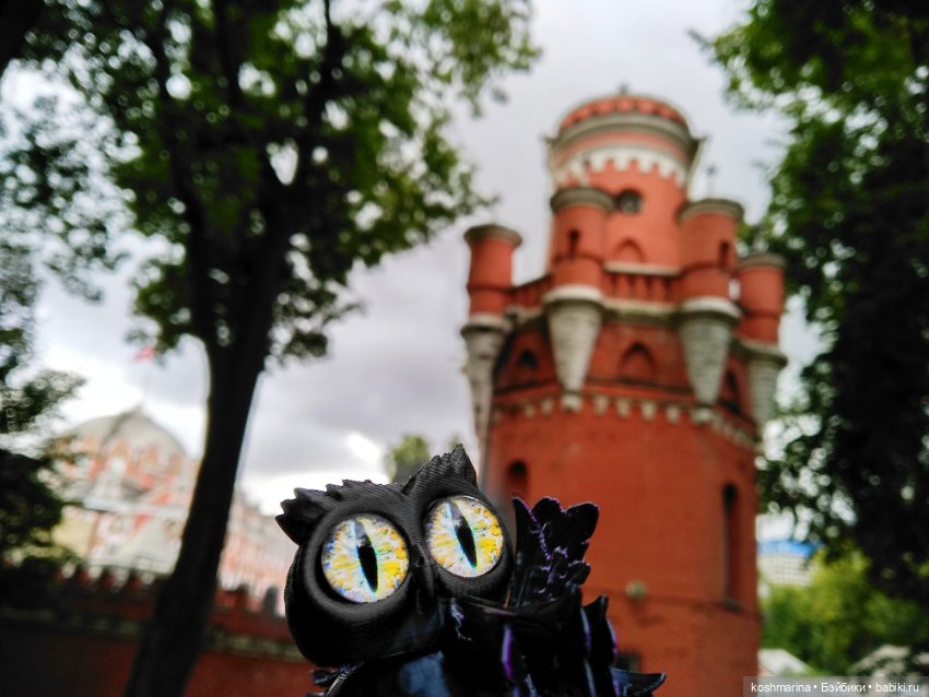 Авиапарк и черничная сова