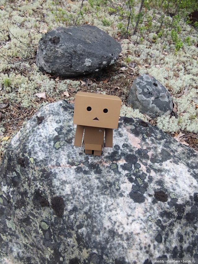 Моя любимая коробочка...Danbo (фото 8)