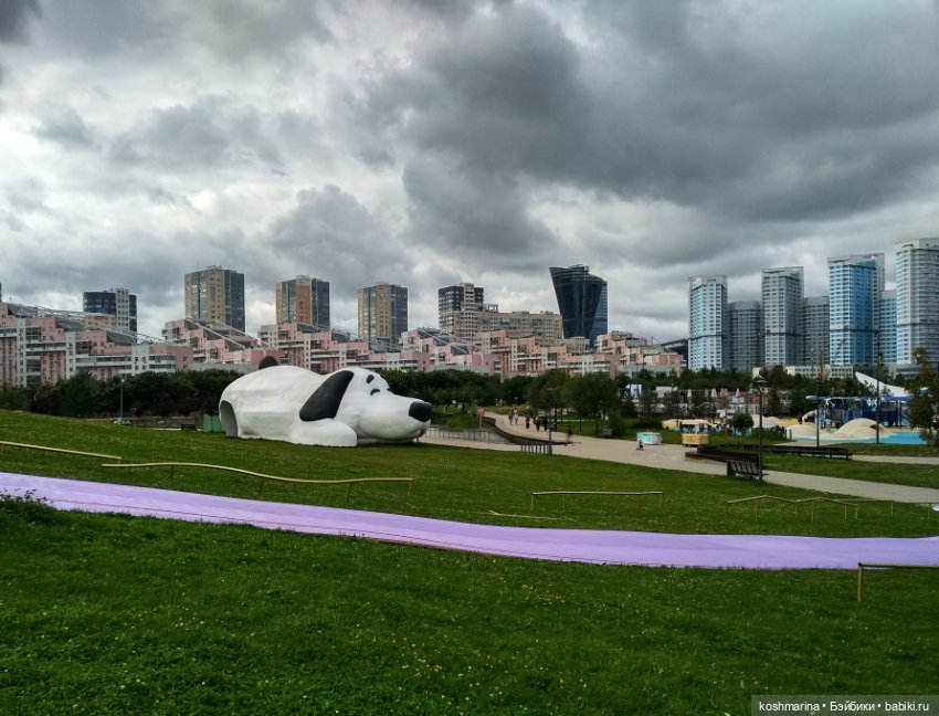 Авиапарк и черничная сова