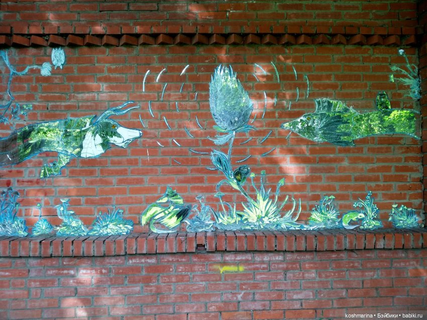 Авиапарк и черничная сова