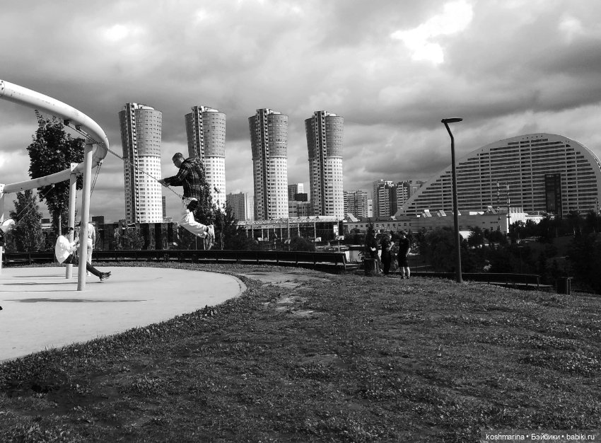 Авиапарк и черничная сова