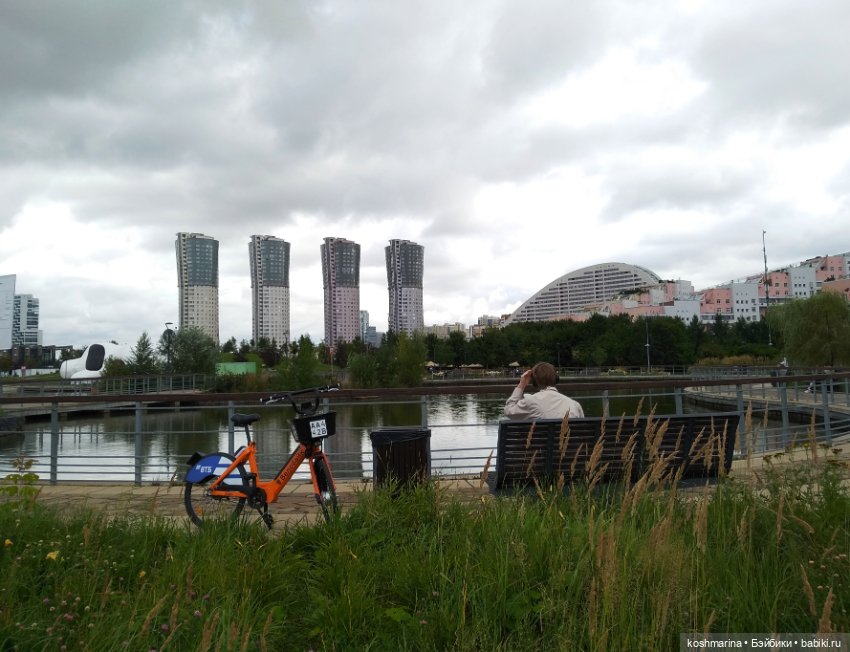 Авиапарк и черничная сова