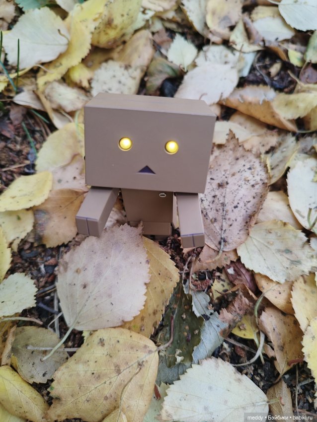 Моя любимая коробочка...Danbo