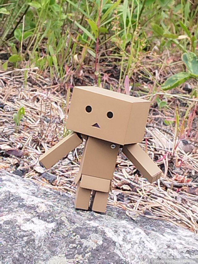 Моя любимая коробочка...Danbo (фото 9)