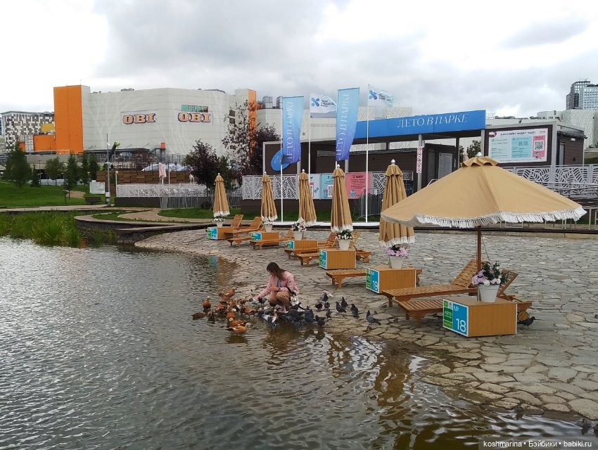 Авиапарк и черничная сова