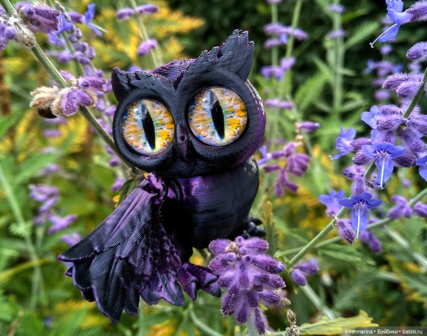 Авиапарк и черничная сова