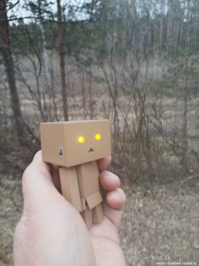 Моя любимая коробочка...Danbo