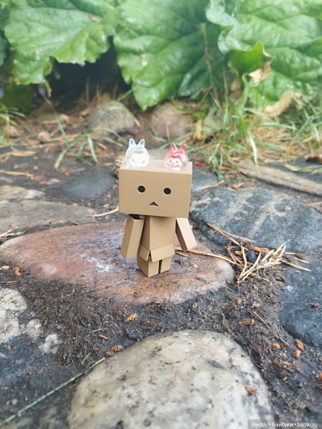 Моя любимая коробочка...Danbo