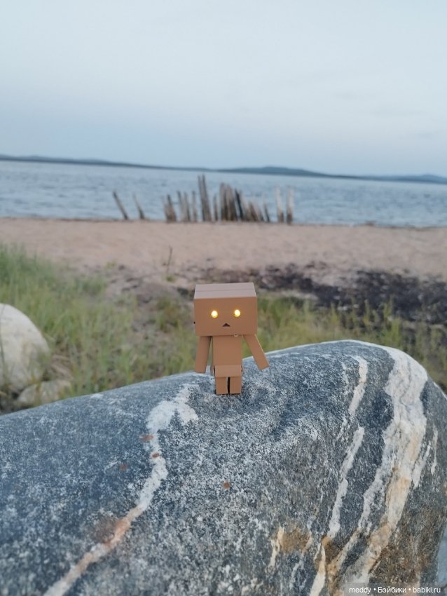 Моя любимая коробочка...Danbo