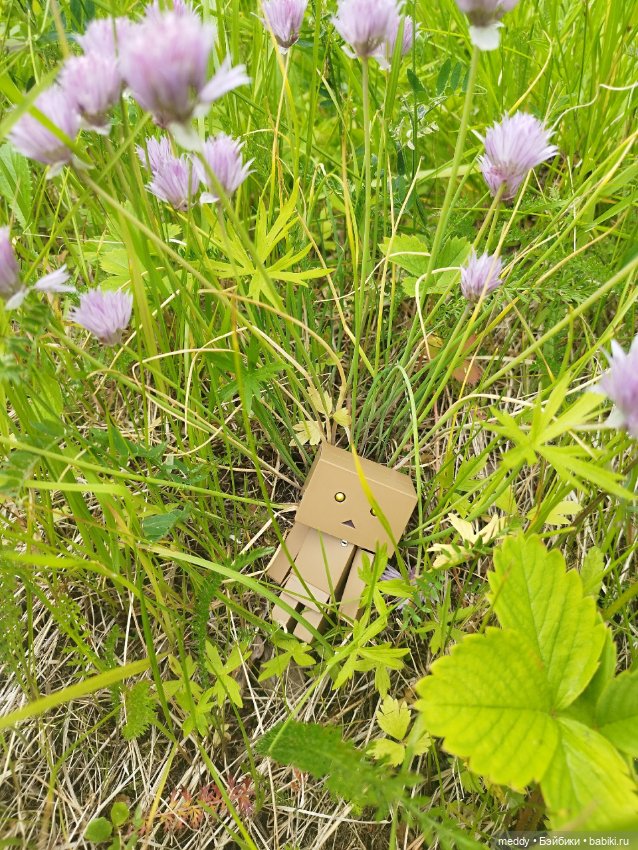 Моя любимая коробочка...Danbo