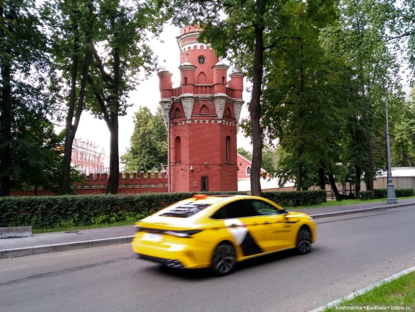 Авиапарк и черничная сова