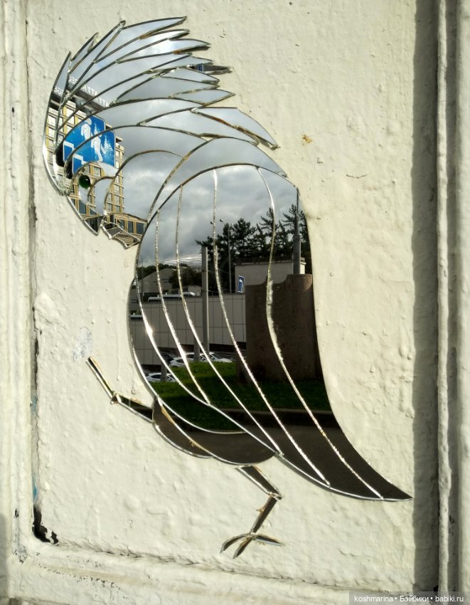 Авиапарк и черничная сова