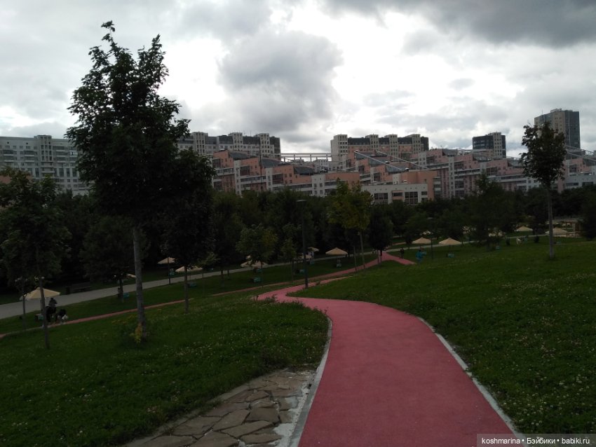 Авиапарк и черничная сова