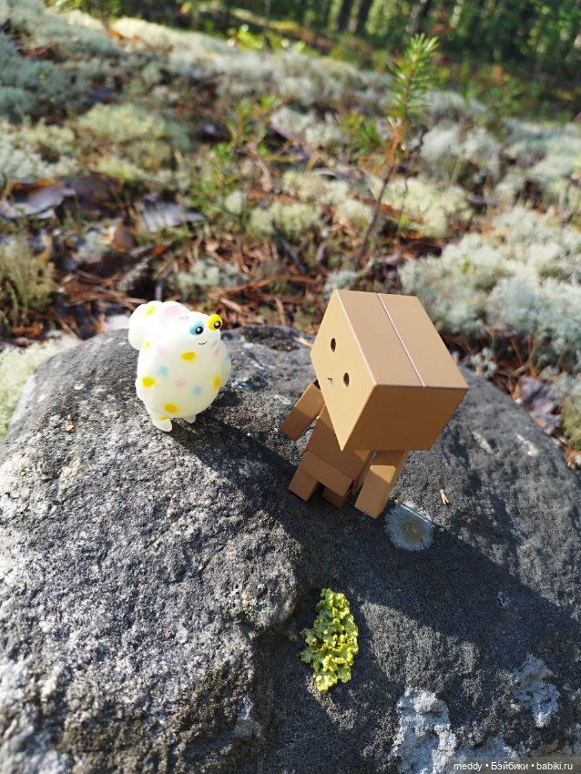 Моя любимая коробочка...Danbo