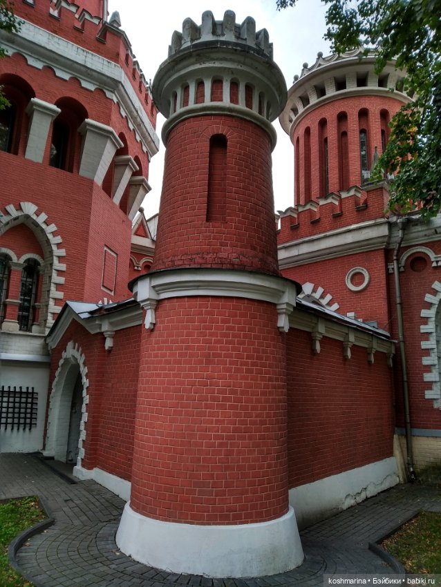 Авиапарк и черничная сова