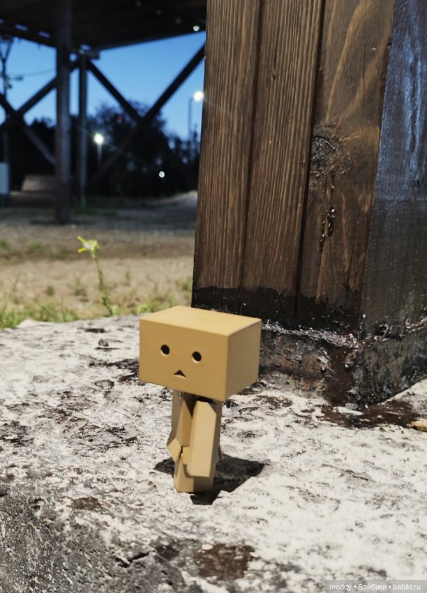 Моя любимая коробочка...Danbo