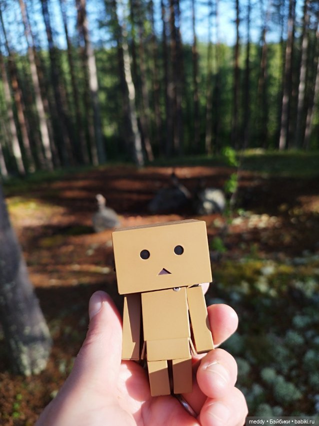 Моя любимая коробочка...Danbo