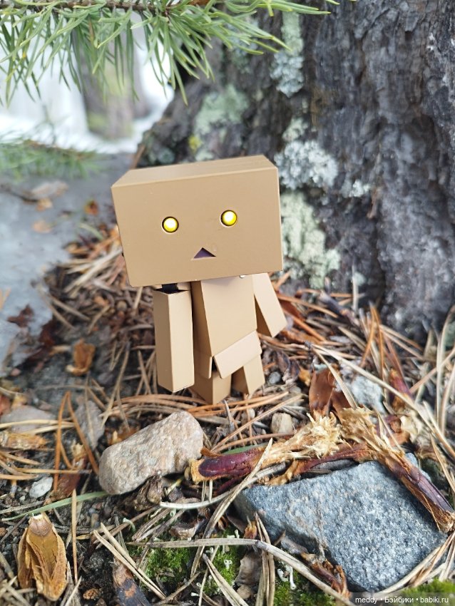 Моя любимая коробочка...Danbo