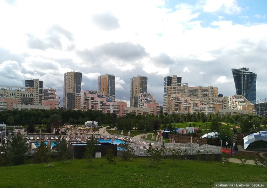 Авиапарк и черничная сова