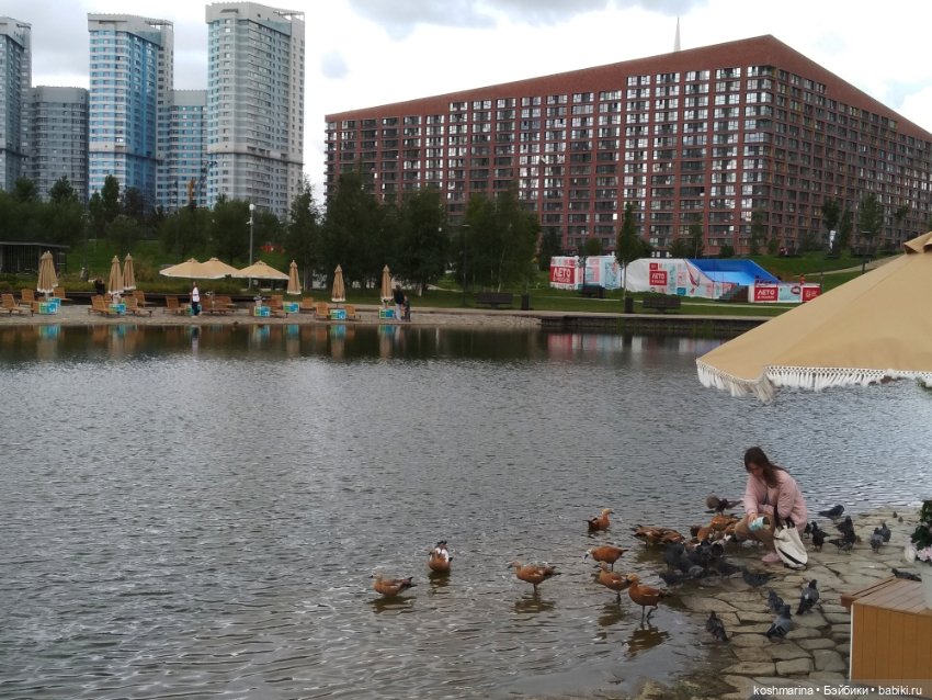 Авиапарк и черничная сова