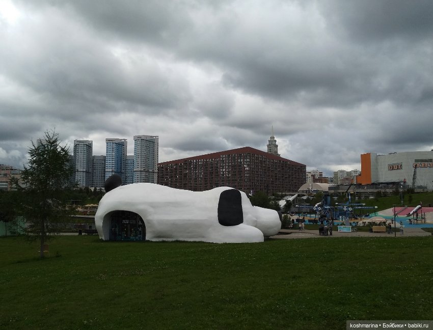 Авиапарк и черничная сова