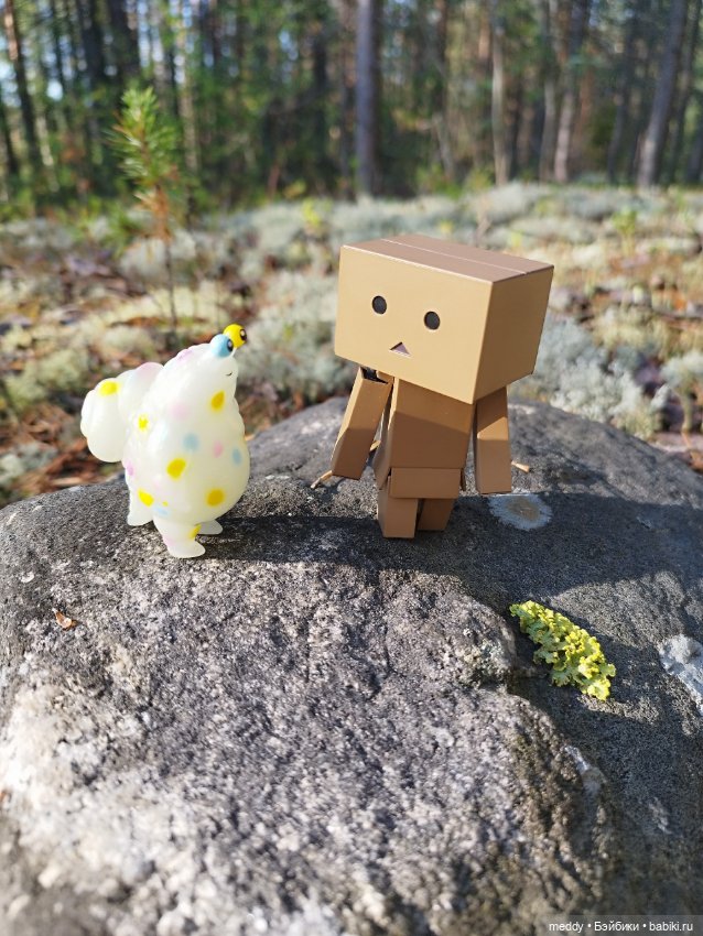 Моя любимая коробочка...Danbo