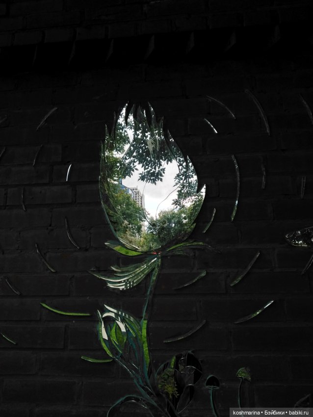 Авиапарк и черничная сова