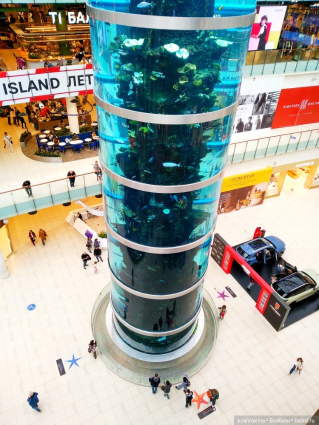 Авиапарк и черничная сова (фото 2)