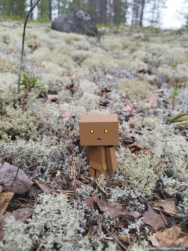 Моя любимая коробочка...Danbo