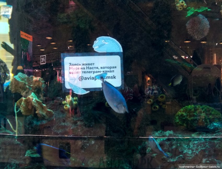 Авиапарк и черничная сова (фото 3)