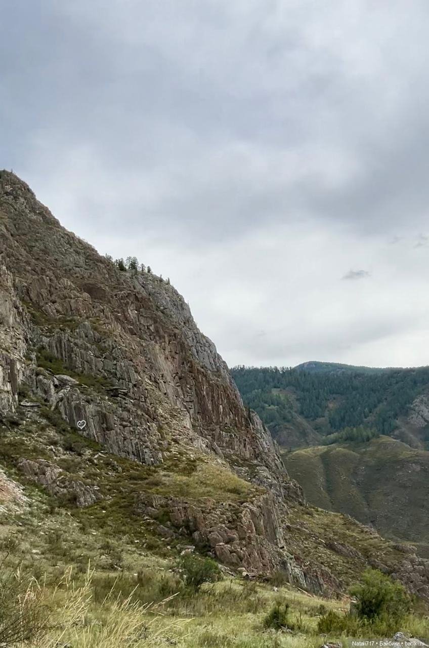 Медовый спас в Горном Алтае (фото 8)