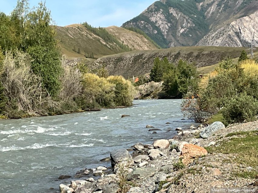 Медовый спас в Горном Алтае (фото 9)