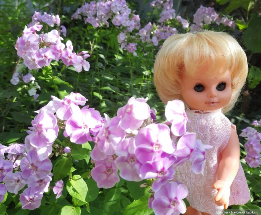 Сегодня всё в розовом цвете💗🌸