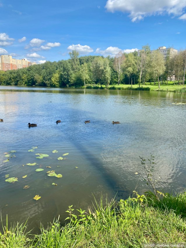 Солнечной субботы ☀️ — Разные куклы BJD (БЖД): редкие бренды (фото 2)