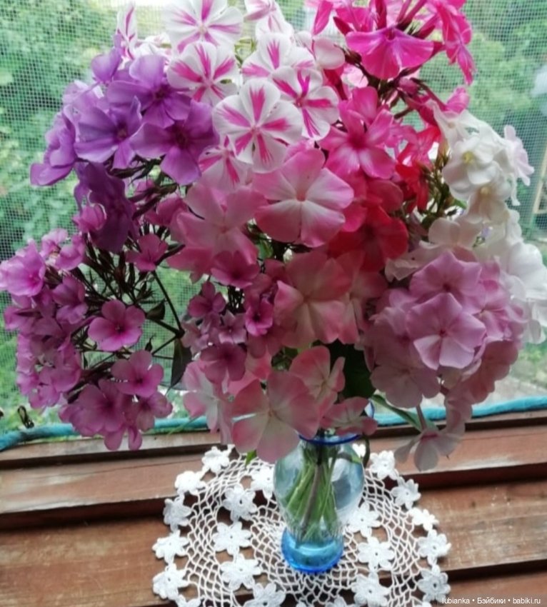 Сегодня всё в розовом цвете💗🌸