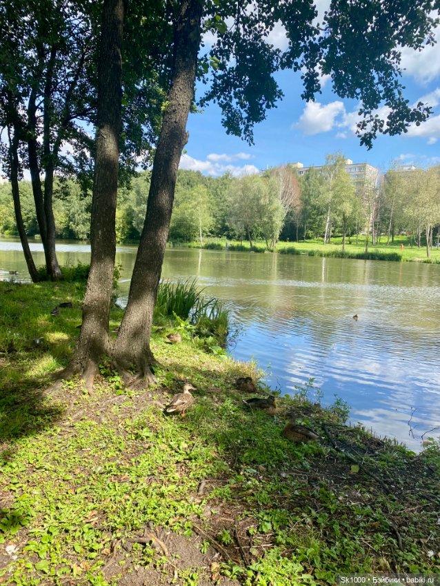 Солнечной субботы ☀️ — Разные куклы BJD (БЖД): редкие бренды (фото 6)