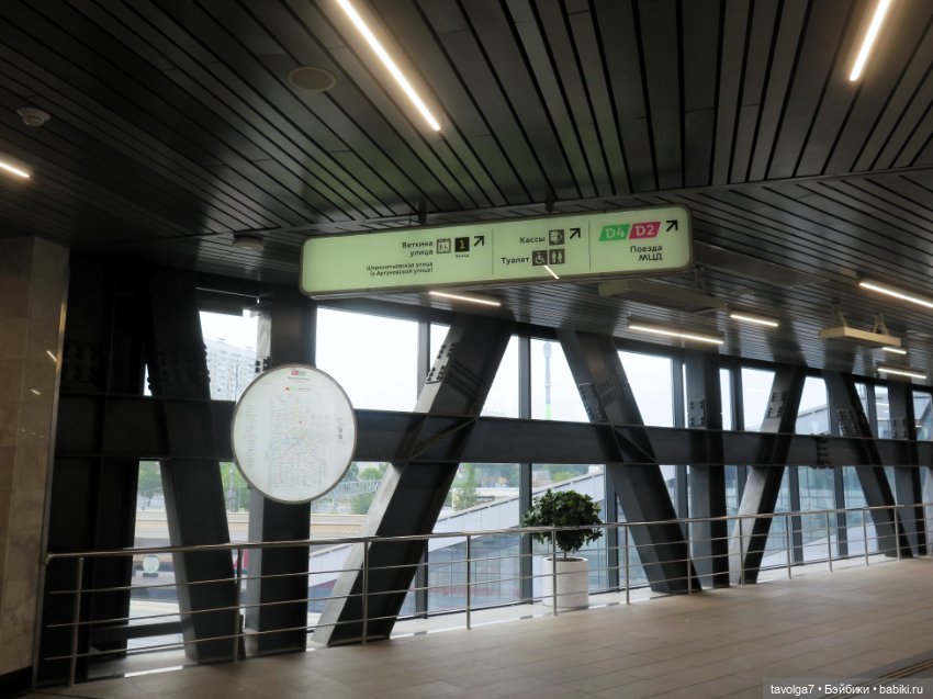 Remco 1964 + Popo Milk 2024